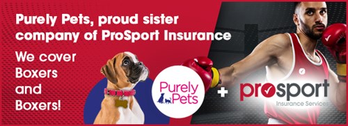 Purely Pets Banner